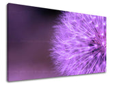 Ζωγραφική τοίχου FLOWERS KV004E11